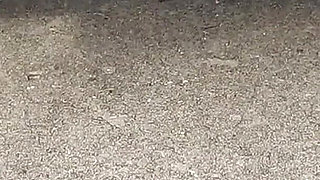 Corvette Revving Gets Her Motor Hot