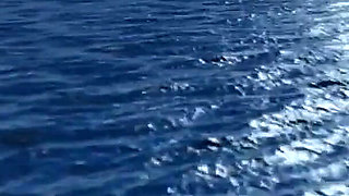 Full Video! - Spicy Home Sex - Exciting Film with Beautiful Pornstars