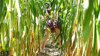 Horny Brunette Gives Blowjob in Cornfield - Outdoor POV Creampie